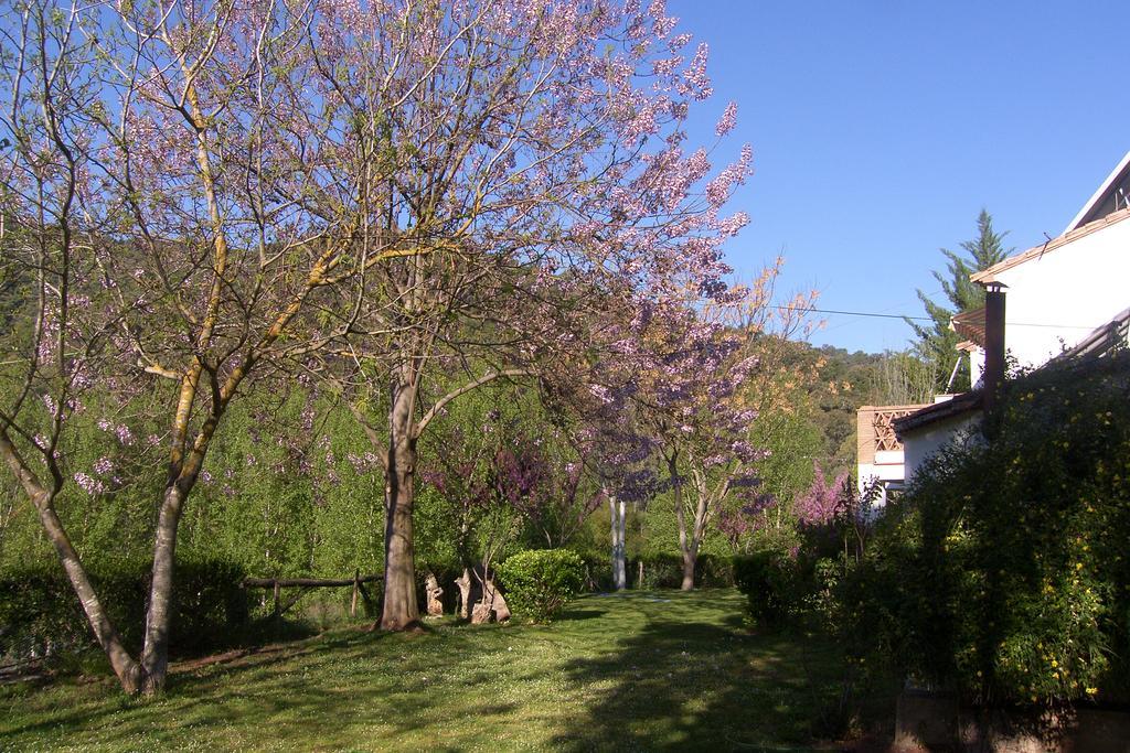 Batan De Las Monjas San Nicolás del Puerto المظهر الخارجي الصورة